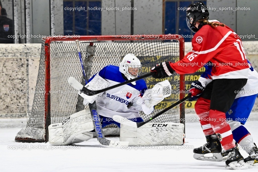 BST_3658 | hockey sports photos, Pressefotos, Sportfotos, hockey247, win 2day icehockeyleague, Handball Austria, Floorball Austria, ÖVV, Kärntner Eishockeyverband, KEHV, KFV, Kärntner Fussballverband, Österreichischer Volleyballverband, Alps Hockey League, ÖFB, 