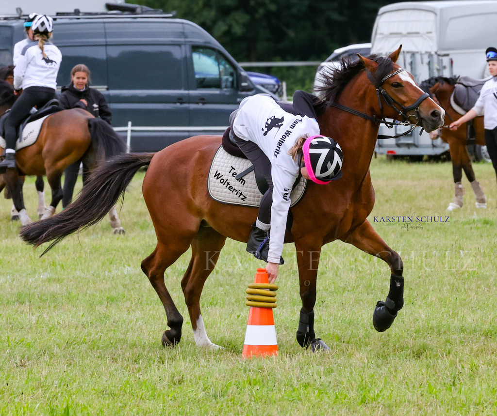 1B3A1550 | Reitsport Reiten