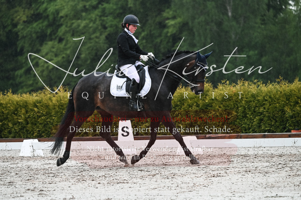 DSC_4698 | Pferde- und Turnierfotografie in Westsachsen. Pferdeportraits, Auftragszeichnungen und intuitive Kunst.