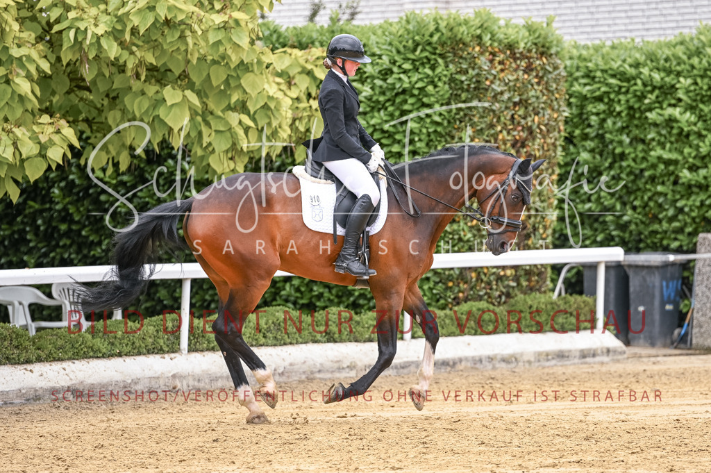 Schugtsche-Aluta25-43.EDressur -52 | Schugtsche Fotografie - Realisiert mit Pictrs.com