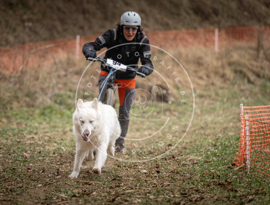 Pfotenfotografie_DV3A6894 | Hundefotografie, Tierfotograf, Pfotenfotografie, Fotoshooting Hund, Hunde Portrait, Hundesport, Hundeportraits, Heideshooting, Hunde, Sportfotograf, Hundefotograf, Turnierhundsport, THS,  - Realisiert mit Pictrs.com