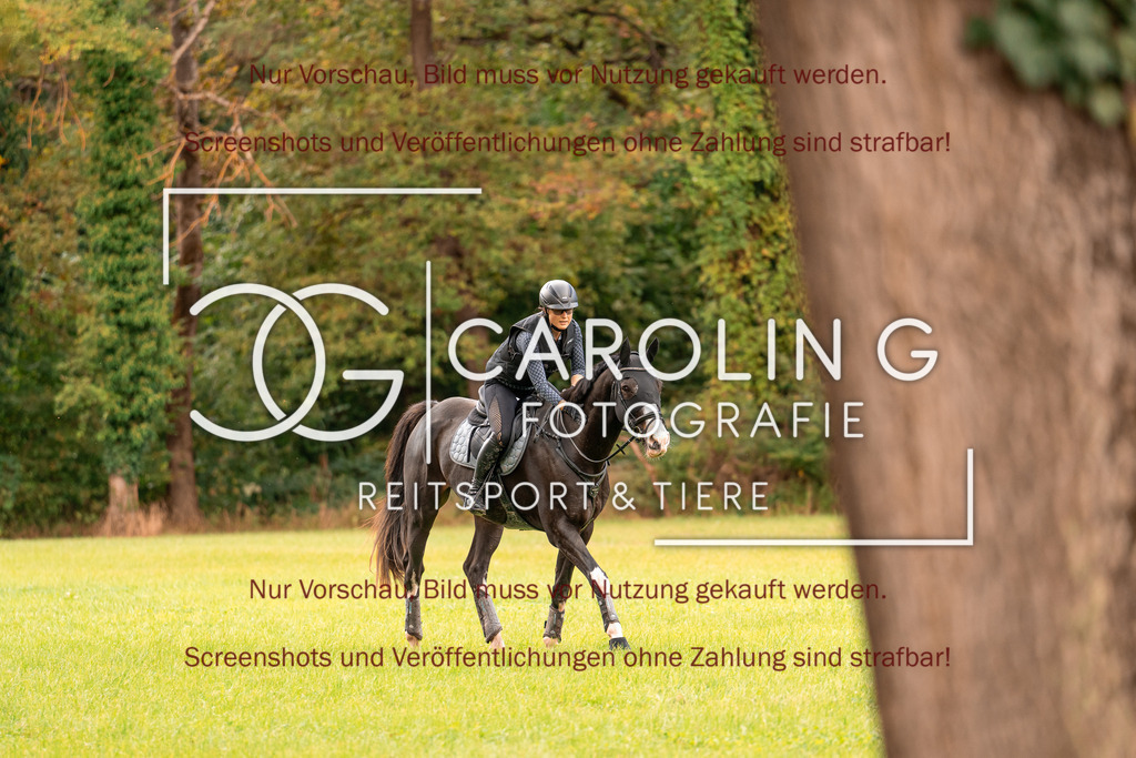 DSC07371 | Turnierfotografin Carolin Gieschke, Turnierfotografie Carolin G Fotografie, Turnierfotos Kirchheim/Teck, Esslingen, Stuttgart, Bodenseekreis
