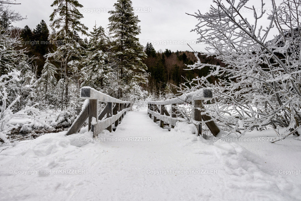 _J3A6723 | medienkrizzler - Realisiert mit Pictrs.com