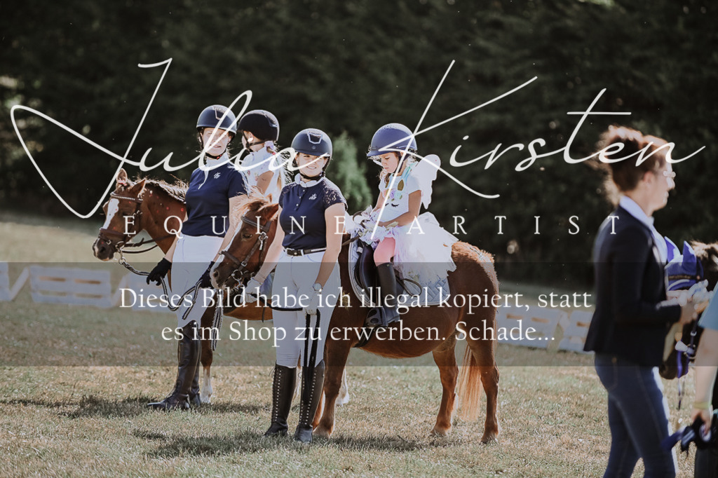 DSC_9192 | Pferde- und Turnierfotografie in Westsachsen. Pferdeportraits, Auftragszeichnungen und intuitive Kunst.