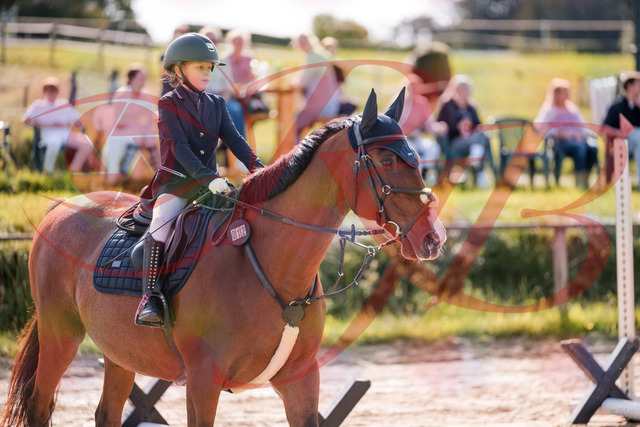 2026_10_03_Siefer-Hof_143840_Z81_09212998 | Professionelle Reitsport-, Turnier- und Eventfotografie von Robert Broda. Galerien mit ausgewählten und bearbeiteten Bildern direkt online ansehen und bestellen.