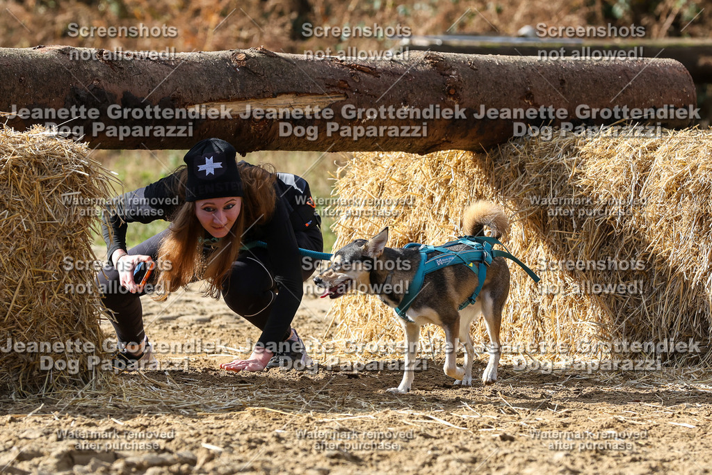 Dog Paparazzi - Strongdog 10-25-5284 | Dog Paparazzi Jeanette Grottendiek Fotografie & Videografie - Realisiert mit Pictrs.com