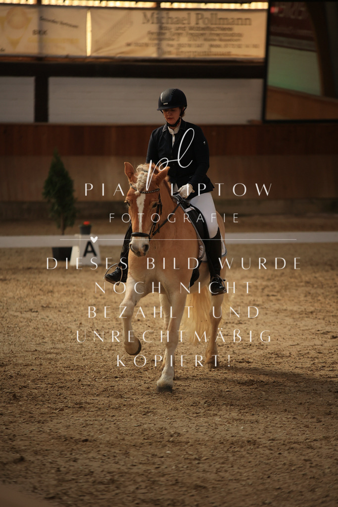 IMGT1986 | pl-fotografie