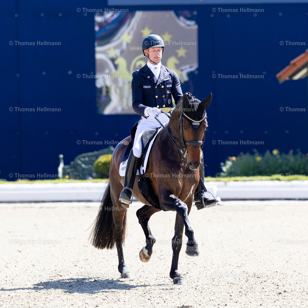 TH_311-KITTEL Patrik (SWE)_ J_ADORE DIOR H_36561 | Horses &amp; Dreams 2026 am 26.04.26 in Hagen a.T.W., Thomas Hellmann, 311KITTEL Patrik (SWE), J'ADORE DIOR H