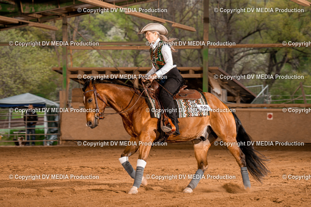 BA301293 | dv-media-shop - Realisiert mit Pictrs.com