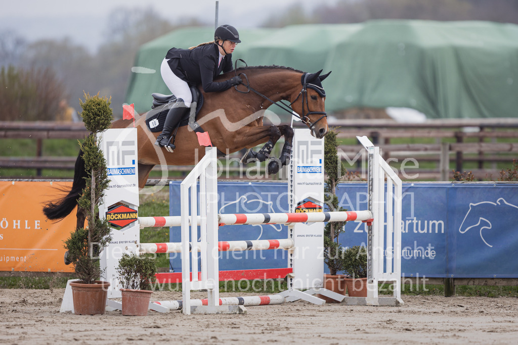 230408_Frühlingsfest_Stil-A2_LK3-4-723 | Deine schönsten Turniermomente als professionelle Fotos! Entdecke hochwertige Pferdesport-Fotografie im Online-Shop. Jetzt Fotos finden & bestellen!