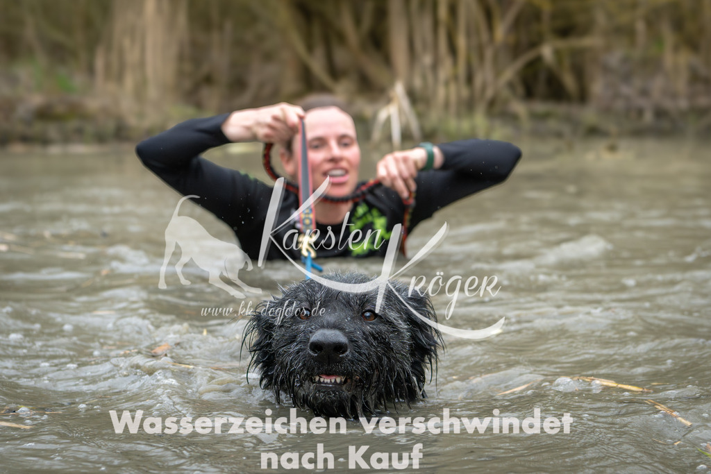 1354_ZZ94303 | kk-dogfotos