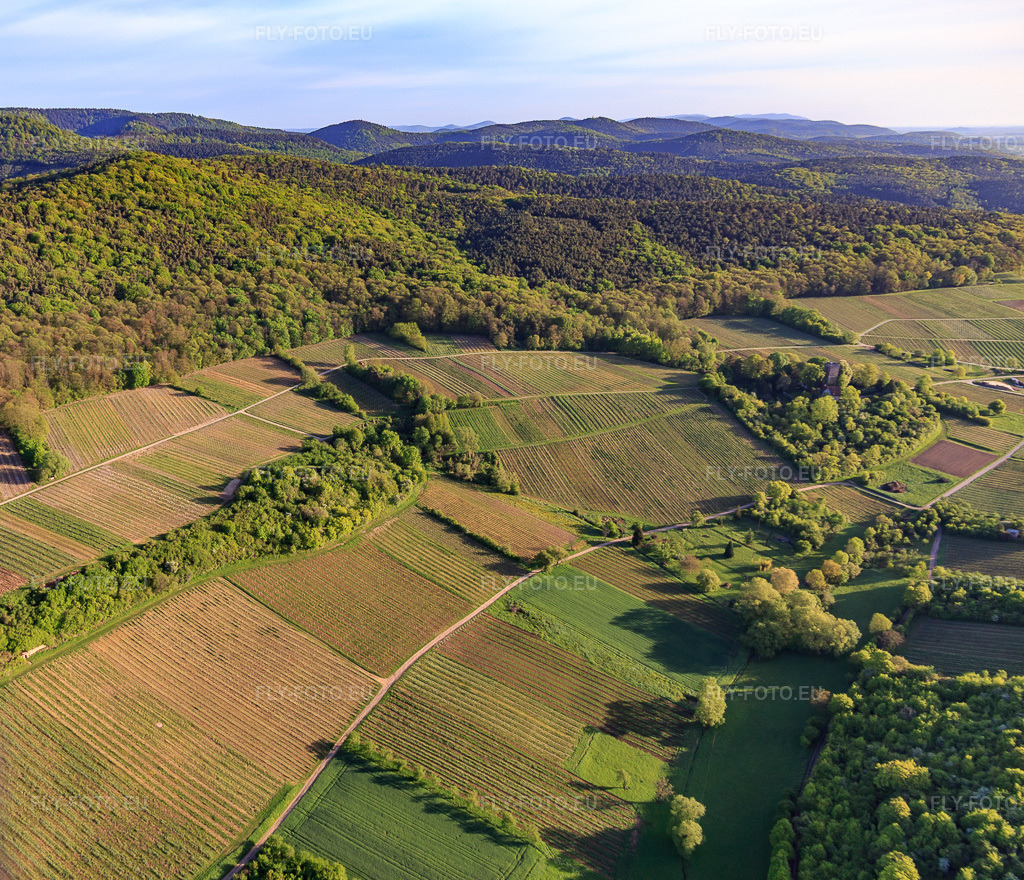 Vue aérienne: Vignoble de Sonnenberg à Wissembourg dans le département Bas Rhin, France.Photo: IMG_107018.jpg prise le 27/04/2018 par Werner Riehm/FLY-FOTO.euRésolution de l'original: 4247 x 3648 px