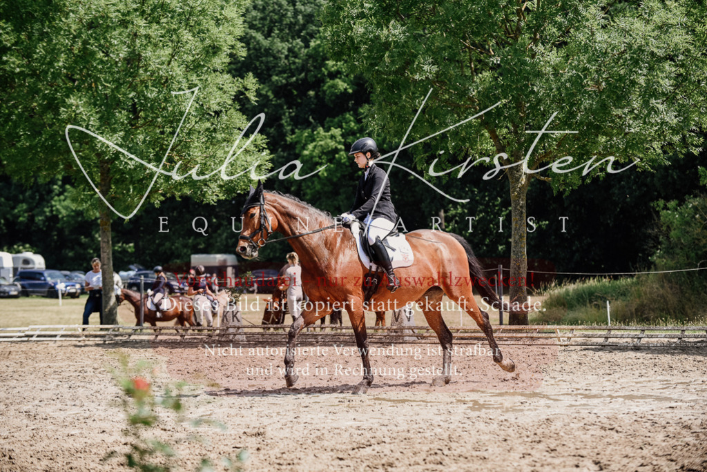 DSC_1010 | Pferde- und Turnierfotografie in Westsachsen. Pferdeportraits, Auftragszeichnungen und intuitive Kunst.
