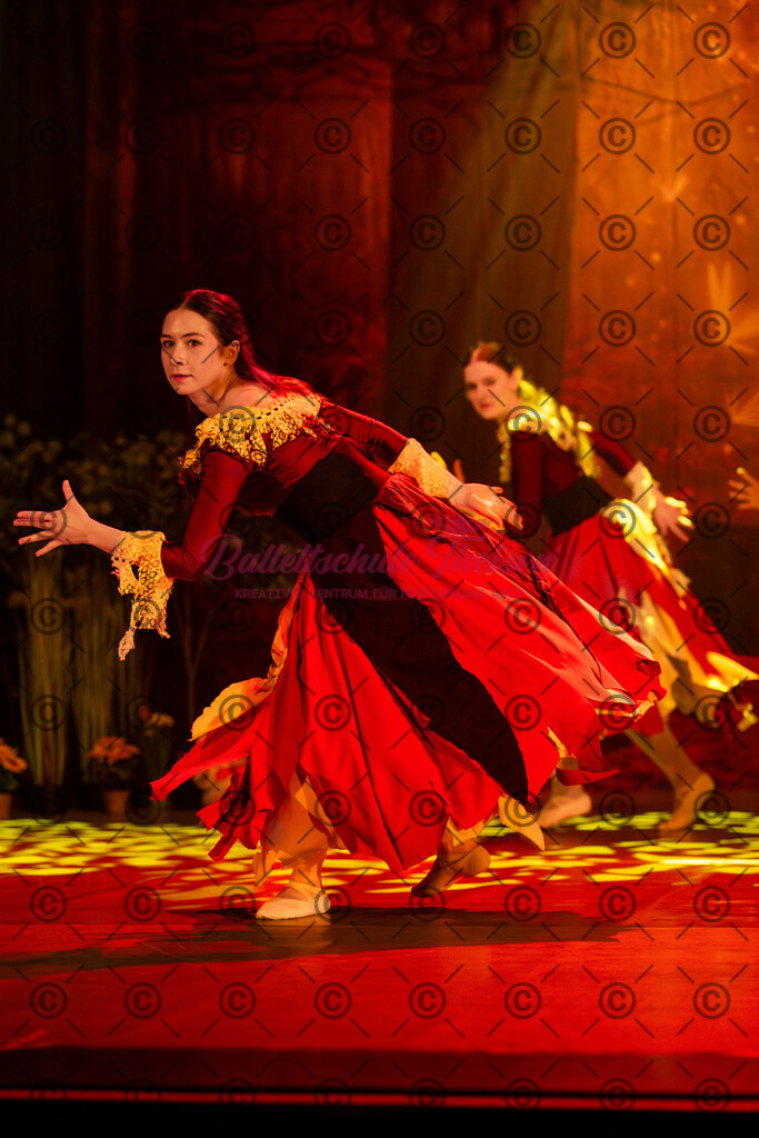Ballettaufführung-1469 | Bildershop Lem'n Entertainment - Realisiert mit Pictrs.com