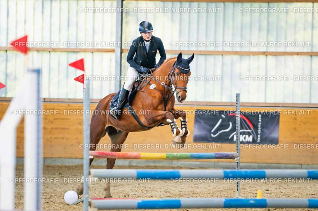 DSC00784 | Pferdegrafie