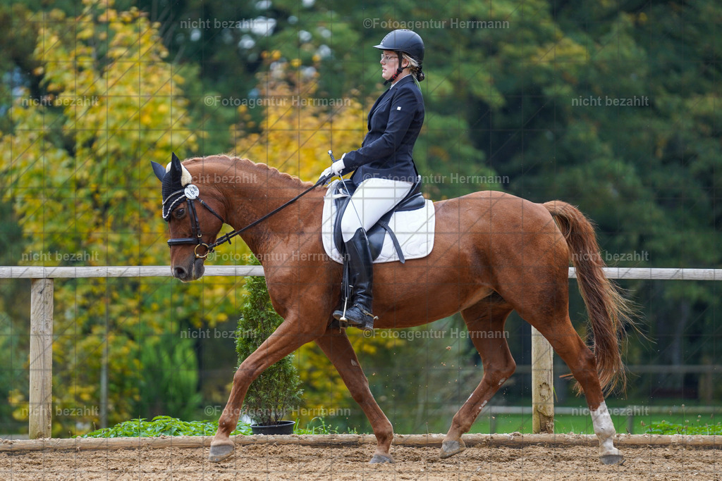 20221008-FAH01708 | Diessen am Ammersee, 2022, Dressur- und Springturnier, Reitsportbilder, Turnierfotografen Bayern, Pferdefotografen, Fotoagentur Herrmann, Turnierbilder