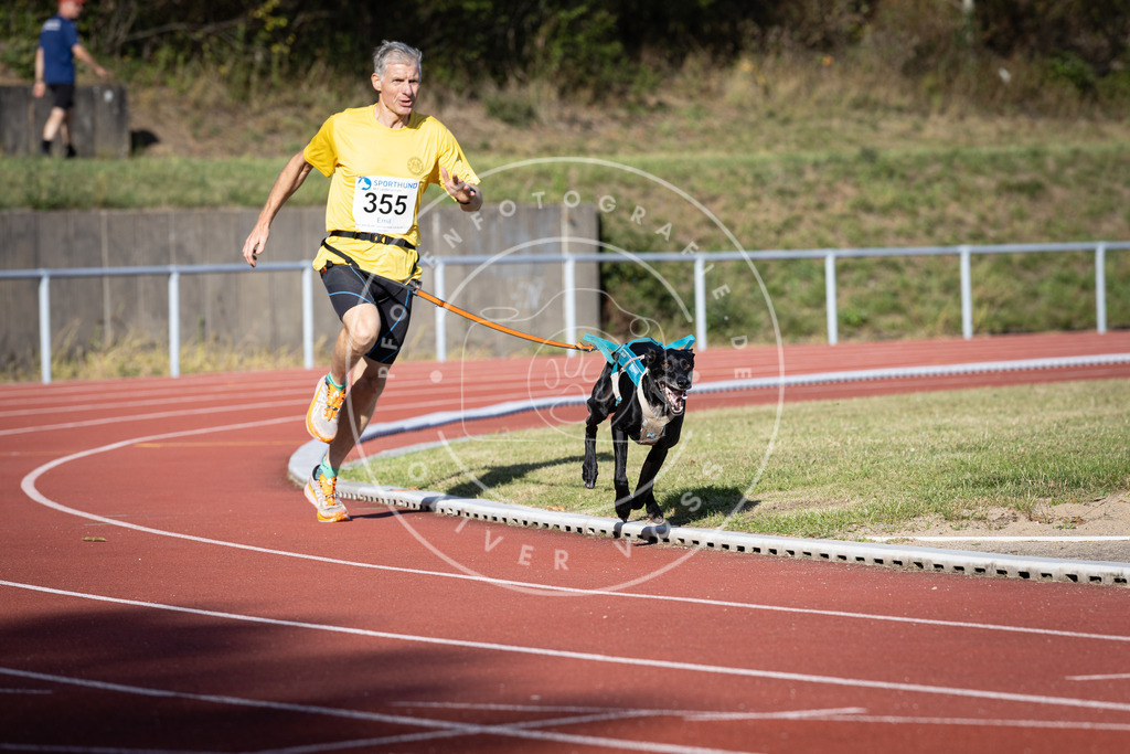 Pfotenfotografie_DV3A9903 | Hundefotografie, Tierfotograf, Pfotenfotografie, Fotoshooting Hund, Hunde Portrait, Hundesport, Hundeportraits, Heideshooting, Hunde, Sportfotograf, Hundefotograf, Turnierhundsport, THS,  - Realisiert mit Pictrs.com