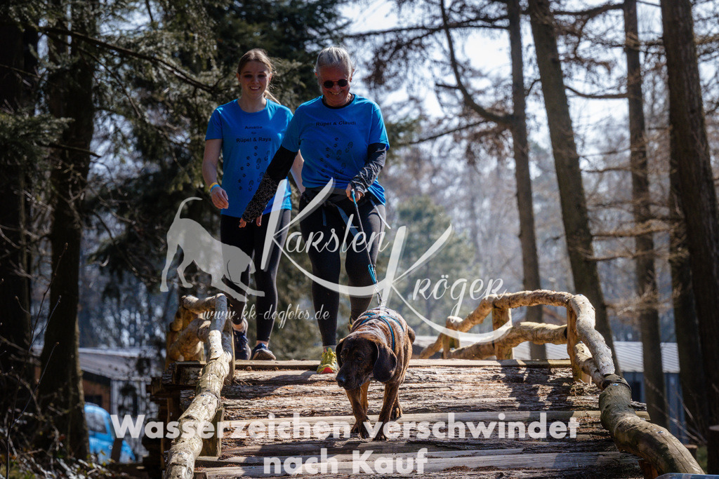 1334_ZZ95678 | kk-dogfotos