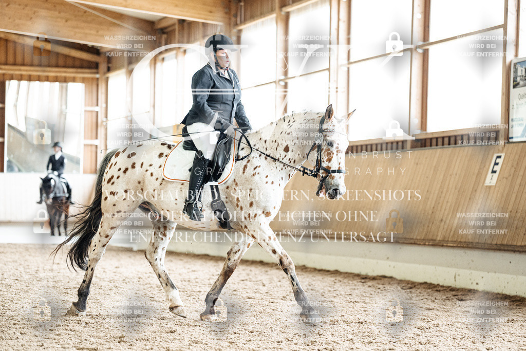 CK901159 | Turnierfotografie Pferdefotografie Trier Rheinland-Pfalz Pferdesport Reitsport Tierfotografie Sportfotografie Pferdevideo Pferdevideografie Equestrianvideography equestrianphotography  - Realisiert mit Pictrs.com