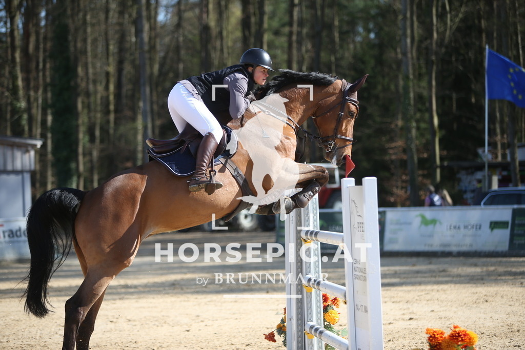 PP015471 | Willkommen bei Brunnmayr - Design & Fotografie – Ihrem Spezialisten für Reitturniere und Pferdeveranstaltungen in Oberösterreich, Salzburg und Bayern! Seit über 17 Jahren sind wir leidenschaftlich dabei.