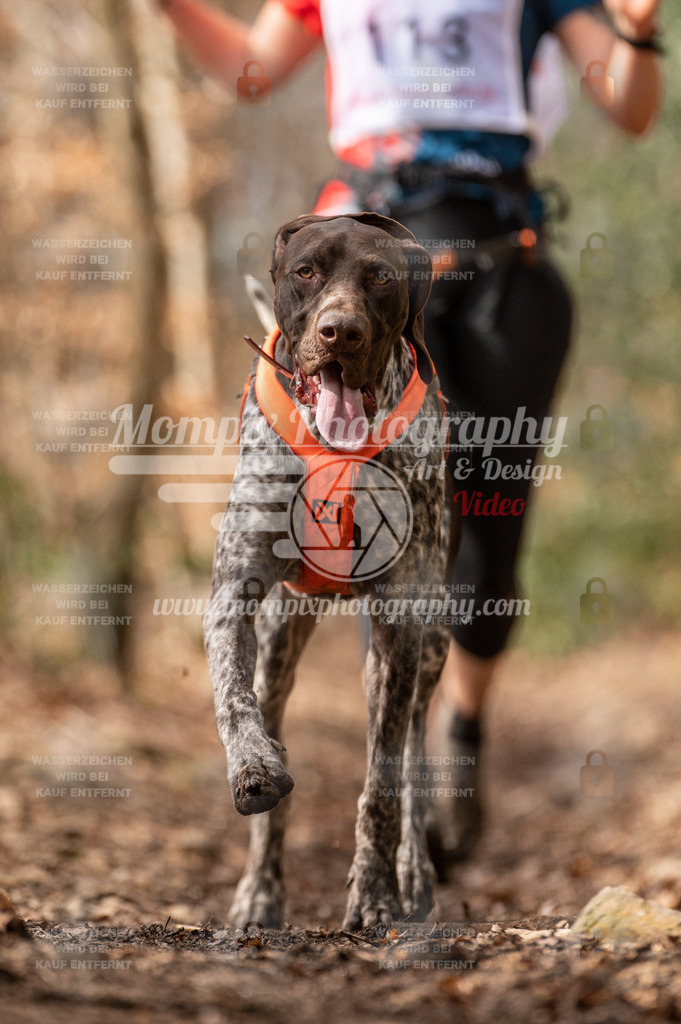 SPA_2023_DIM_Fun-16 | PayLife