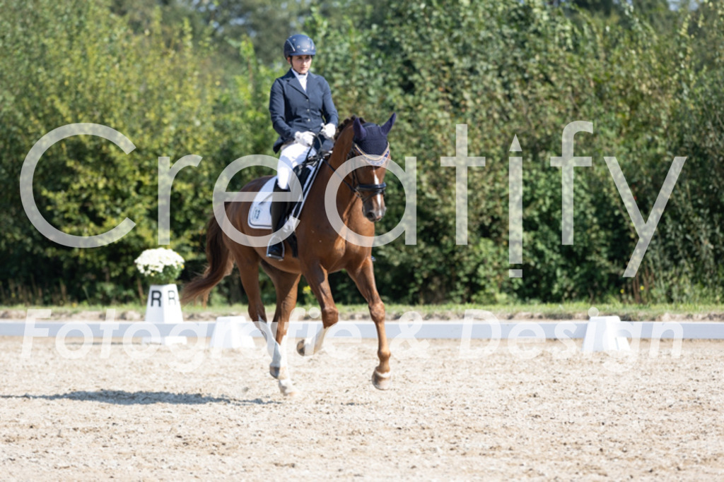 IMG_4385 | Creatify Fotografie