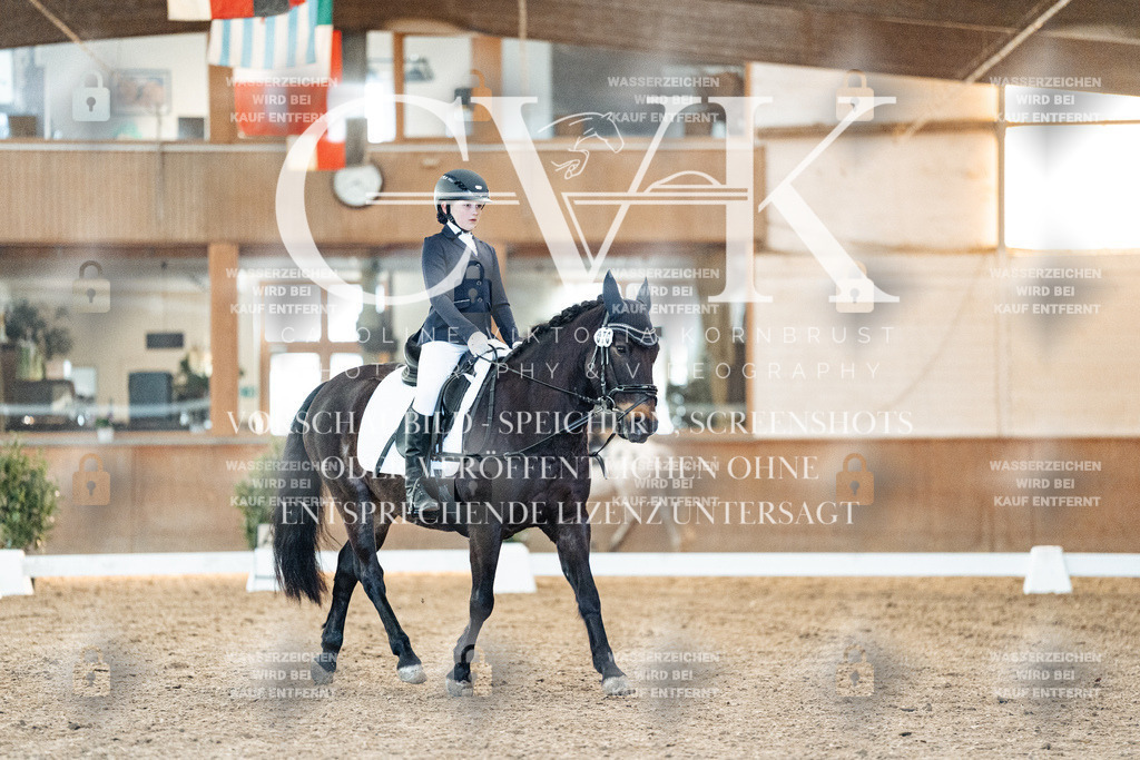 CK906685 | Turnierfotografie Pferdefotografie Trier Rheinland-Pfalz Pferdesport Reitsport Tierfotografie Sportfotografie Pferdevideo Pferdevideografie Equestrianvideography equestrianphotography  - Realized with Pictrs.com
