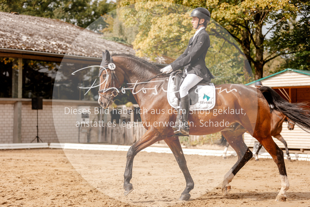 3I6A7142 | Stimmungsvolle Portraits und Reitsportfotografie im Ruhrgebiet und im Münsterland.

Pferdefotografie, Hundefotografie, Tierfotografie, Reportagen, Portraits von Tier und Mensch, Turnierfotografie in Bochum, Recklinghausen, Marl, Haltern am See, Dülmen.. - Realisiert mit Pictrs.com