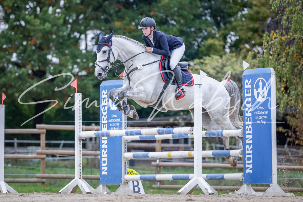 20251012-_3LI5131 | Tierfotografie Pferde, Hunde, Katzen, Haustiere.
Turnierfotografie Reitturniere, Reiten, Springreiten, Dressur in Hanau, dem Main-Kinzig-Kreis und dem Rhein-Main- Gebiet um Frankfurt