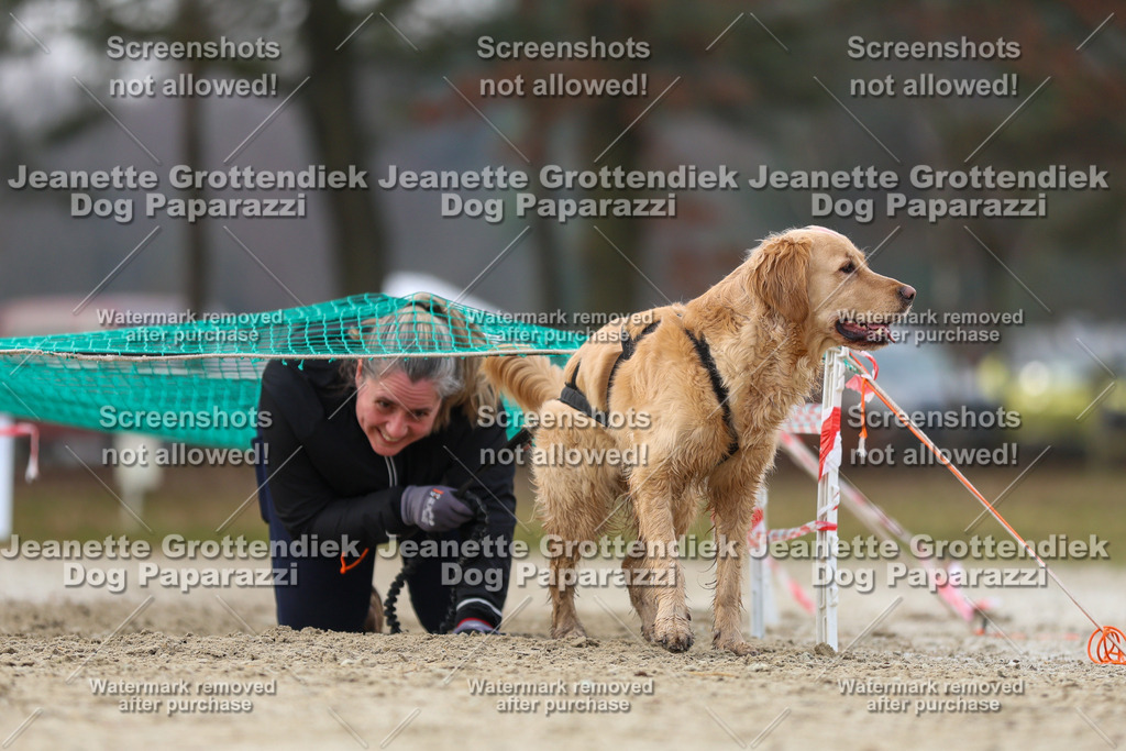 Dog Paparazzi - Strongdog North Mrz26-4511 | Dog Paparazzi Jeanette Grottendiek Fotografie & Videografie - Realisiert mit Pictrs.com
