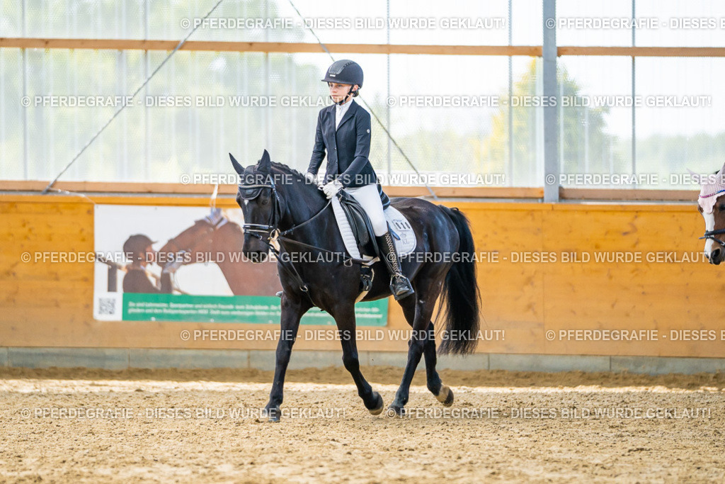 DSC00960 | Pferdegrafie