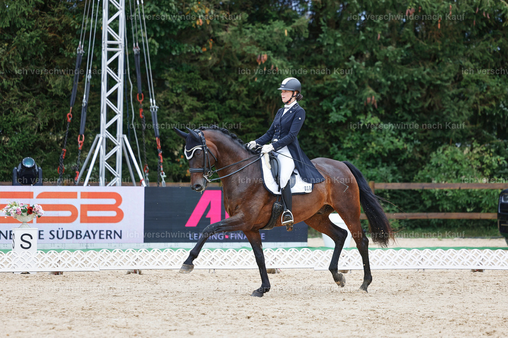 8_2-088-DRESSUR S_  -StoibPH-4436 | working equitationturnier fotograf videograf stoibphotography marixx film working equitation deutschland reitsport turnierfotografie eventfotografie equestrian events
