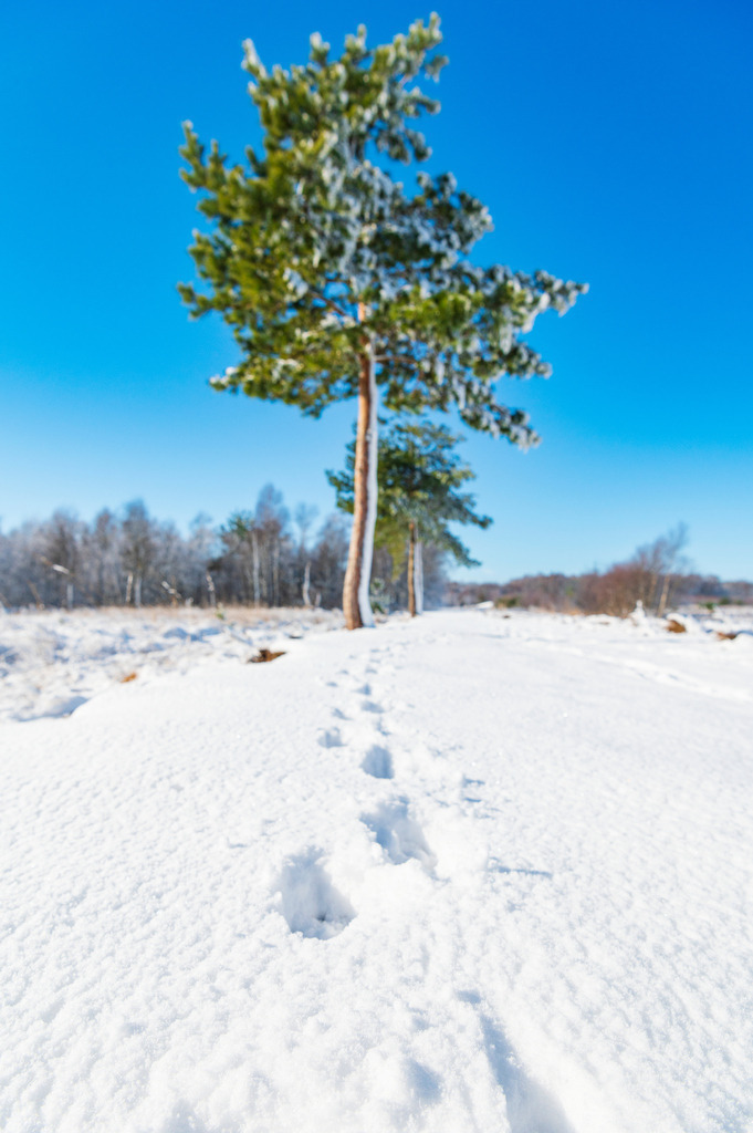 2023_03_11_MCP7304 | Hochwertig gedruckte Fotografien für die Wand, als Kalender und zum Verschenken. Hamburg & Norddeutschland und überall wo ich mit der Kamera unterwegs war.