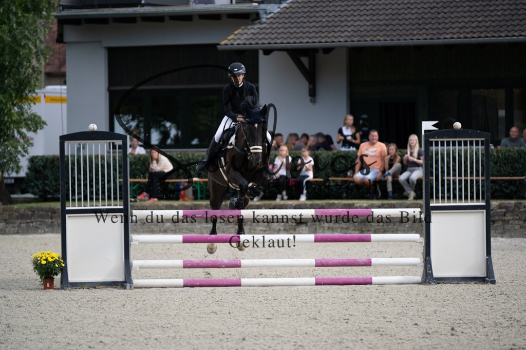 A7V07735 | Turnier/Reitfotograf