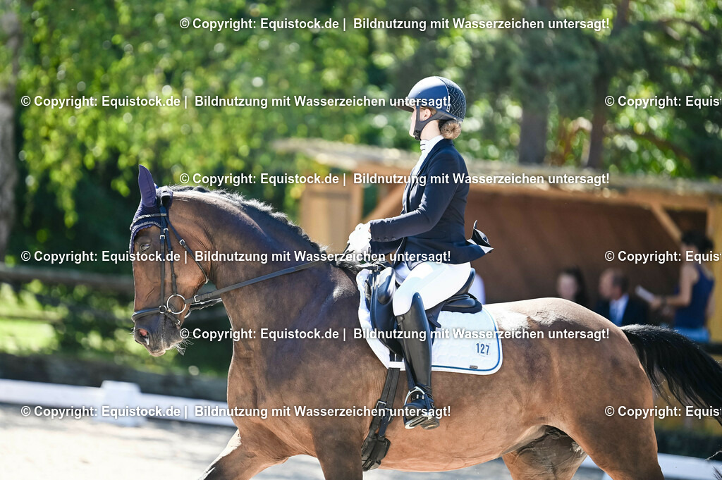 20230908_06_Dressur-L-Trense_0388 | equistock