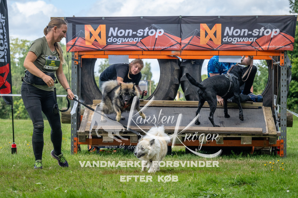 1547_ZZ94141 | kk-dogfotos