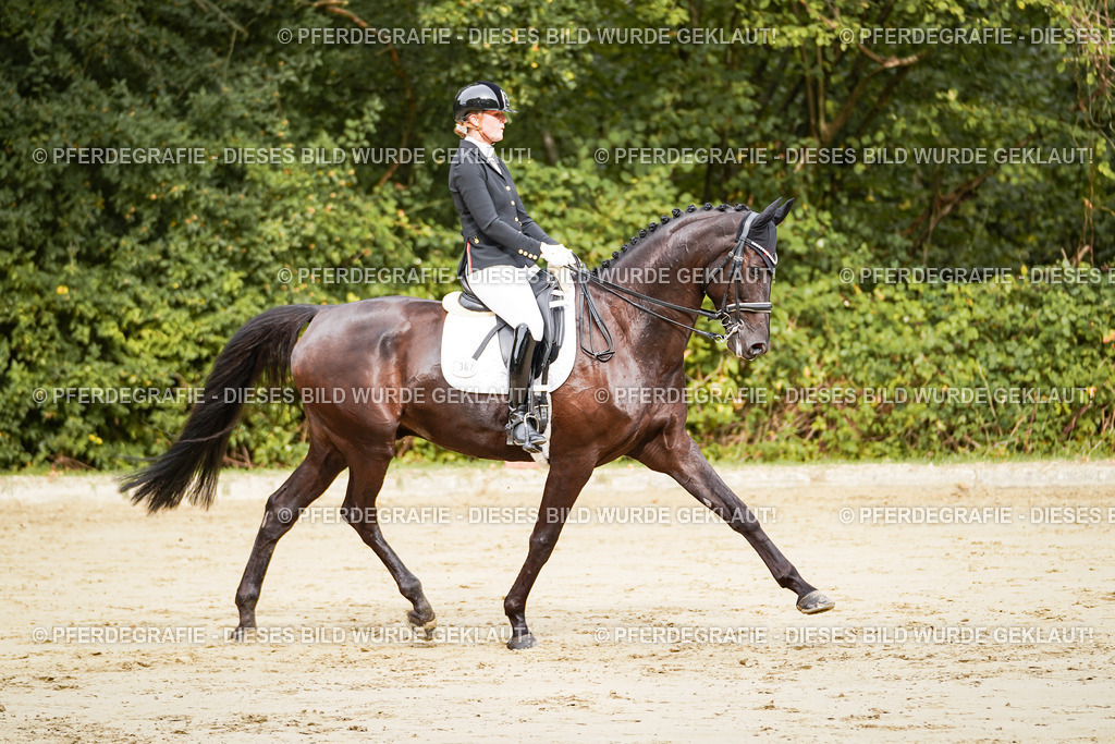 DSC02209 | Pferdegrafie