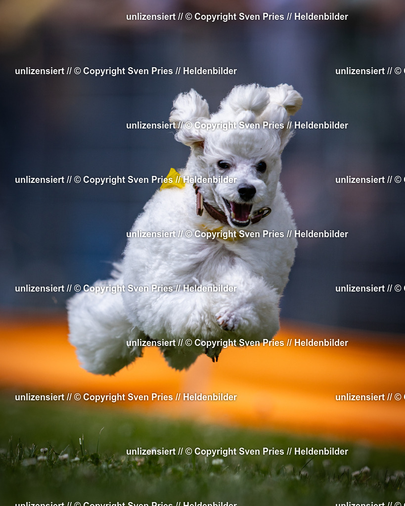 Sven Pries | 2025-05-29 - Pudelrennen KA-Durlach - Realisiert mit Pictrs.com