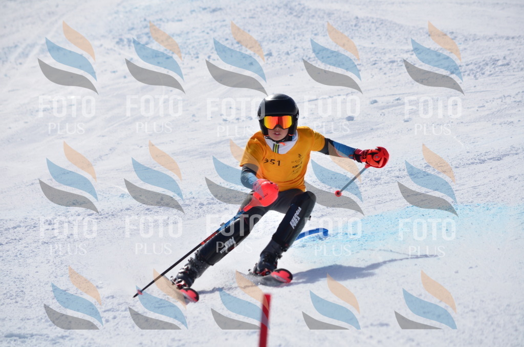 C9790 | holidayphoto