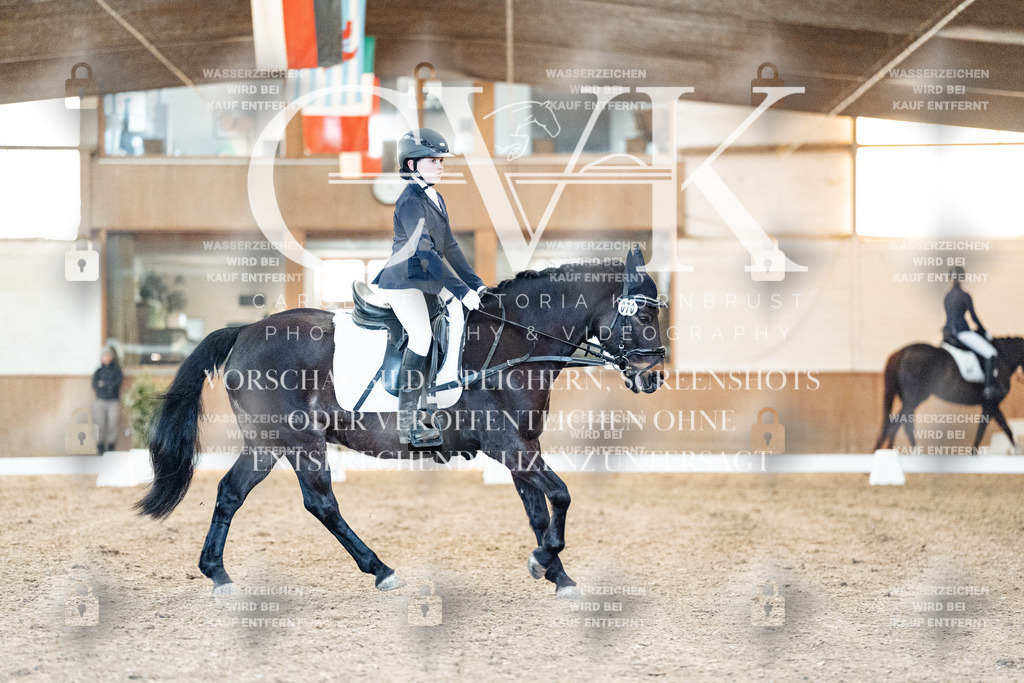 CK906752 | Turnierfotografie Pferdefotografie Trier Rheinland-Pfalz Pferdesport Reitsport Tierfotografie Sportfotografie Pferdevideo Pferdevideografie Equestrianvideography equestrianphotography  - Realized with Pictrs.com