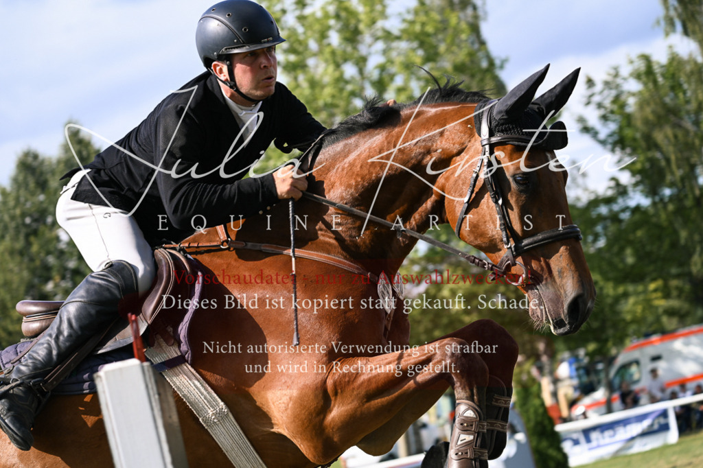 DSC_1095 | Pferde- und Turnierfotografie in Westsachsen. Pferdeportraits, Auftragszeichnungen und intuitive Kunst.