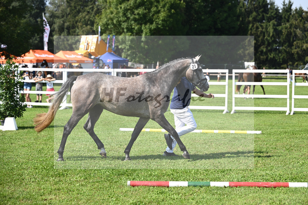 Kat-Nr. 21 nn v. Vingino_Hoffmeister_34240494 | hf-fotografie - Realisiert mit Pictrs.com