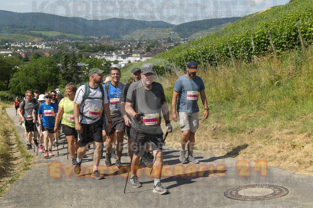 230617_1059_EV9_7571 | Sportfotografie im Rhein-Sieg Kreis, Köln, Bonn, NRW, Rheinland Pfalz, Hessen, etc. Unser Tätigkeitsfeld umfasst den Laufsport vom Volkslauf über den Marathon, Duathlon, Triathon bis zum Ultralauf wie Kölnpfad Ultra oder Schindertrail.