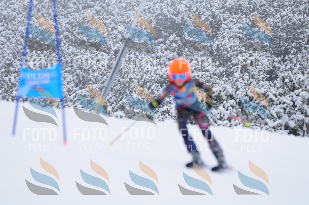 C3346 | holidayphoto