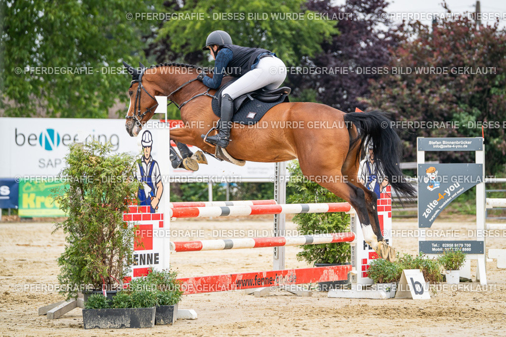 DSC00071 | Pferdegrafie