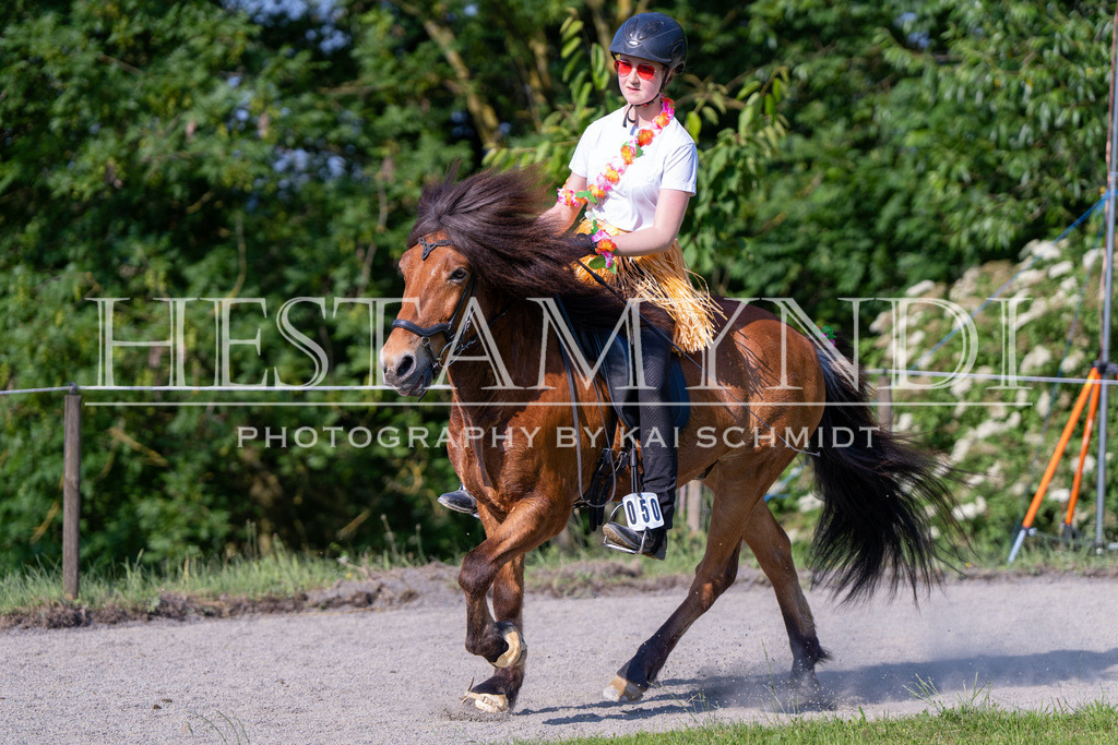 KAI07217 | Ihr sucht einen Fotografen für eure nächste OSI? Ich begleite auch euer Turnier für Islandpferde fotografisch.  - Realisiert mit Pictrs.com