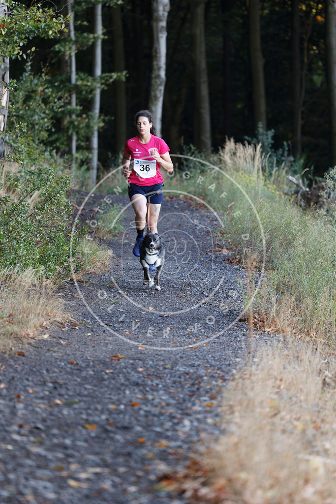 0L8A1608 | Hundefotografie, Tierfotograf, Pfotenfotografie, Fotoshooting Hund, Hunde Portrait, Hundesport, Hundeportraits, Heideshooting, Hunde, Sportfotograf, Hundefotograf, Turnierhundsport, THS,  - Realisiert mit Pictrs.com