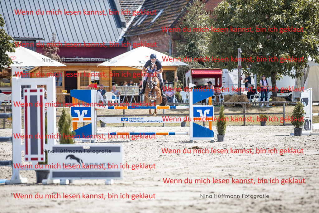BK1A6488 | Turnierbilder Turnierfotos Nina Hüffmann Turnierfotografie Pferdefotografie Tierzeichnung Haustierzeichnung Pferdezeichnung Hundezeichnung Videograf  - Realisiert mit Pictrs.com