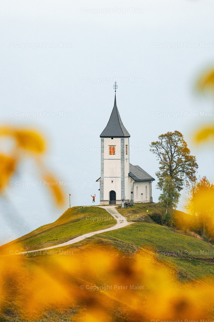 Jamnik-10 | piet_flosse