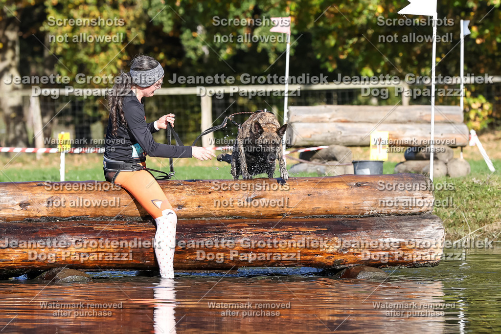Dog Paparazzi - Strongdog 10-25-8715 | Dog Paparazzi Jeanette Grottendiek Fotografie & Videografie - Realisiert mit Pictrs.com